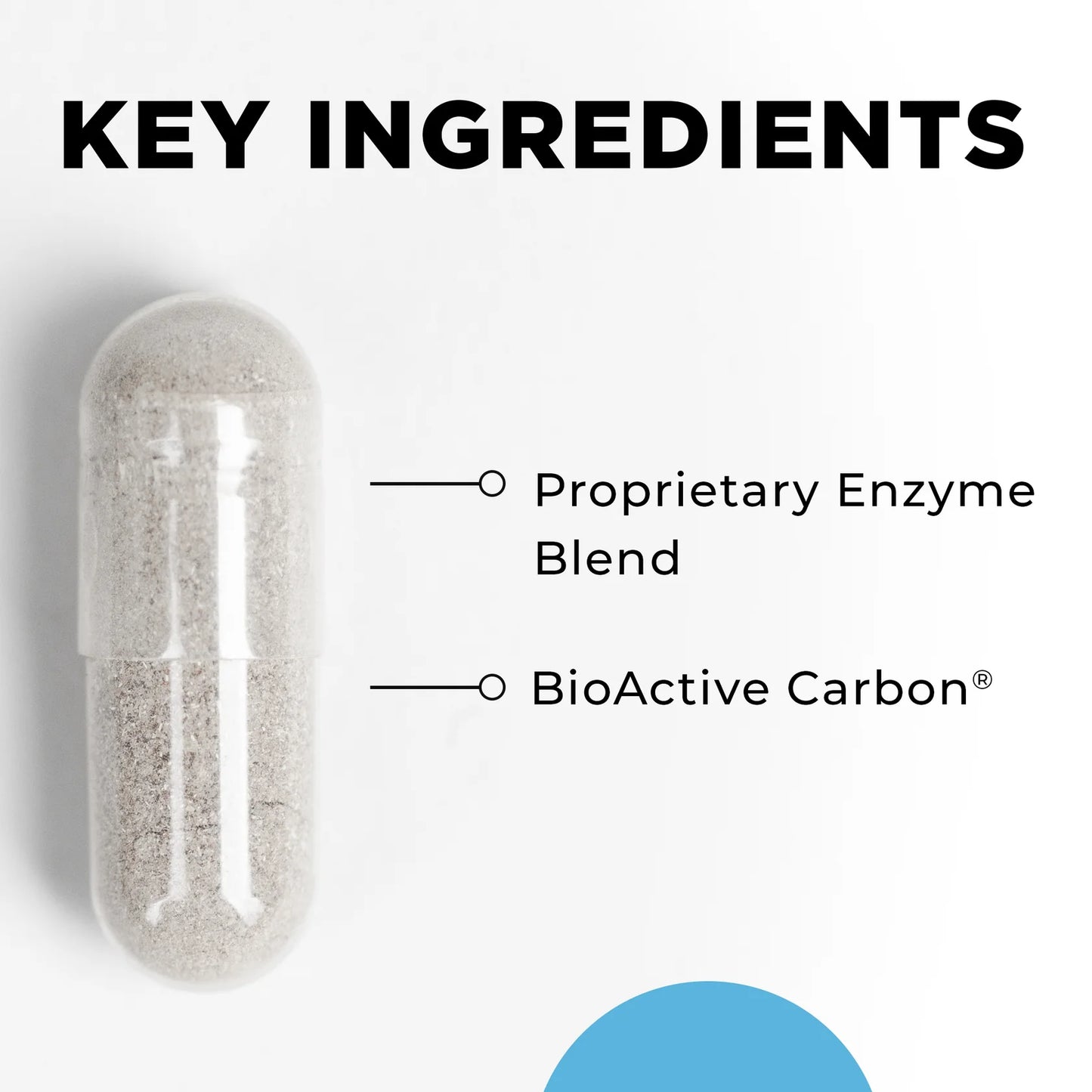 CT-Zyme